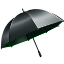 Insurance